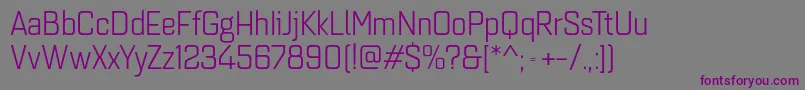 Шрифт Quarcanormbook – фиолетовые шрифты на сером фоне