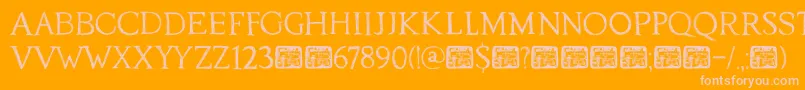 DkTraiectum Font – Pink Fonts on Orange Background
