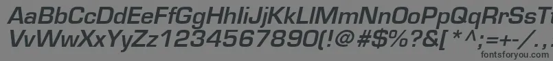 EuromodeBoldItalic Font – Black Fonts on Gray Background