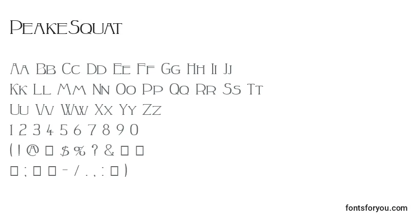 Czcionka PeakeSquat – alfabet, cyfry, specjalne znaki