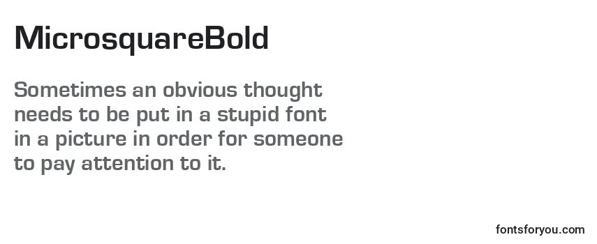 MicrosquareBold Font