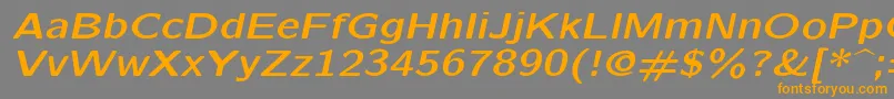 Lmsansquot8Boldoblique-Schriftart – Orangefarbene Schriften auf grauem Hintergrund