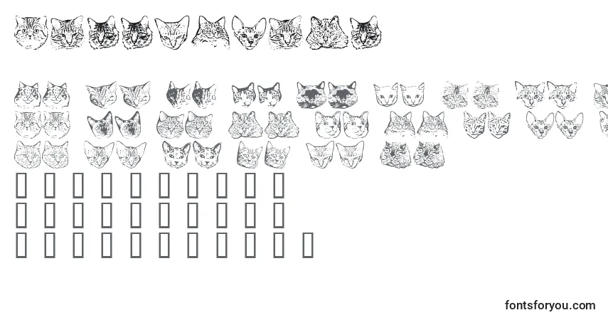 A fonte Kittyprint – alfabeto, números, caracteres especiais