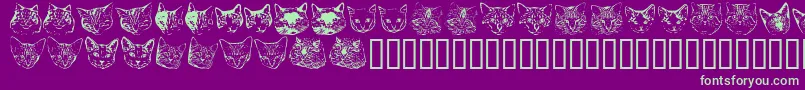 Kittyprint Font – Green Fonts on Purple Background