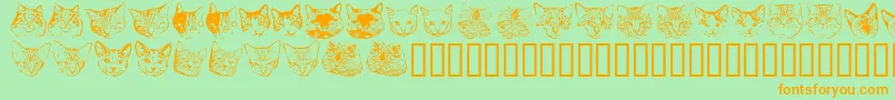 Kittyprint Font – Orange Fonts on Green Background