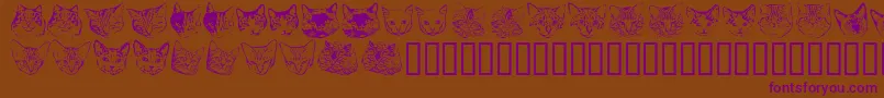 Kittyprint Font – Purple Fonts on Brown Background