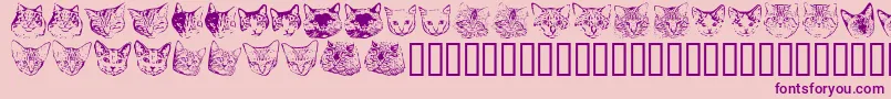 Kittyprint Font – Purple Fonts on Pink Background
