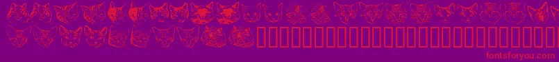 Kittyprint-Schriftart – Rote Schriften auf violettem Hintergrund