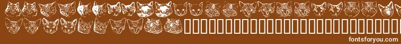 フォントKittyprint – 茶色の背景に白い文字