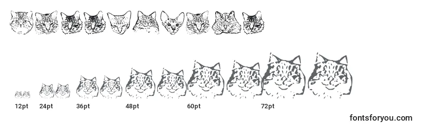 Tamanhos de fonte Kittyprint