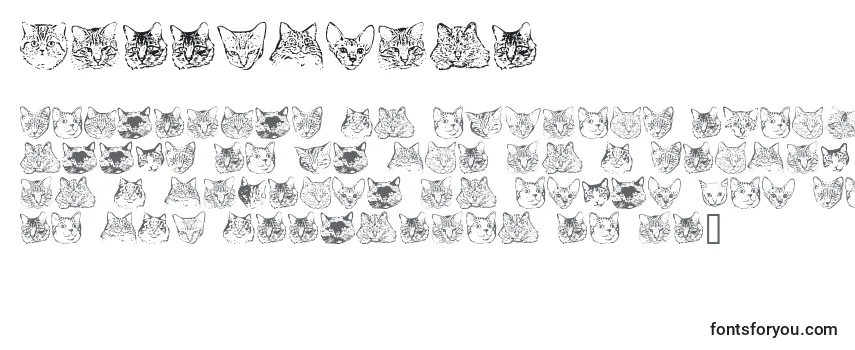 Überblick über die Schriftart Kittyprint