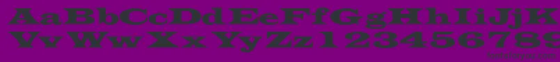 Transversessk Font – Black Fonts on Purple Background