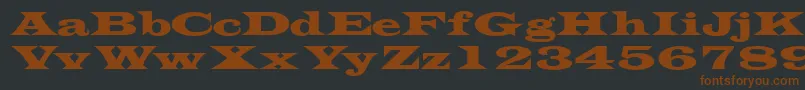 Transversessk Font – Brown Fonts on Black Background
