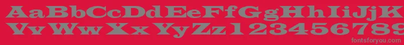 Czcionka Transversessk – szare czcionki na czerwonym tle