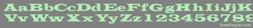 Transversessk Font – Green Fonts on Gray Background