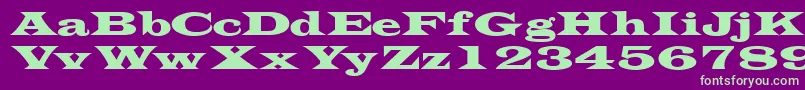 Transversessk Font – Green Fonts on Purple Background