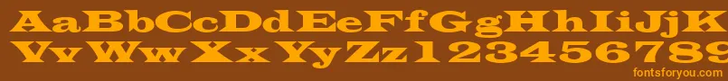 Transversessk Font – Orange Fonts on Brown Background