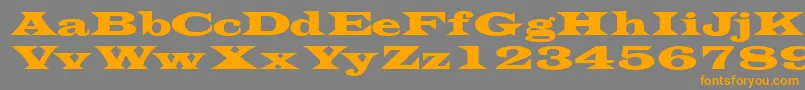 Transversessk Font – Orange Fonts on Gray Background