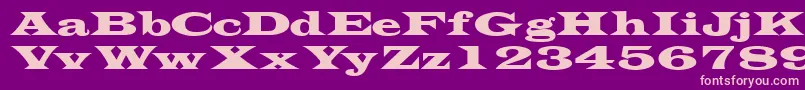Transversessk Font – Pink Fonts on Purple Background