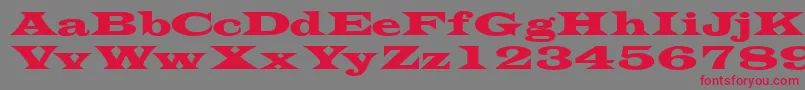 Transversessk Font – Red Fonts on Gray Background