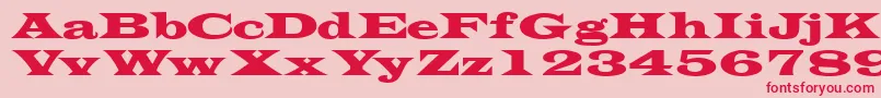 Шрифт Transversessk – красные шрифты на розовом фоне