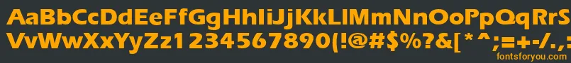 ErgoeextraboldRegular Font – Orange Fonts on Black Background