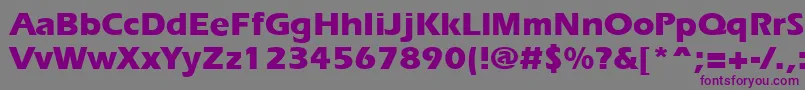 ErgoeextraboldRegular Font – Purple Fonts on Gray Background