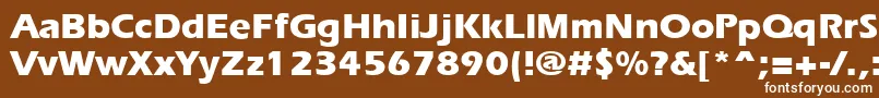 フォントErgoeextraboldRegular – 茶色の背景に白い文字