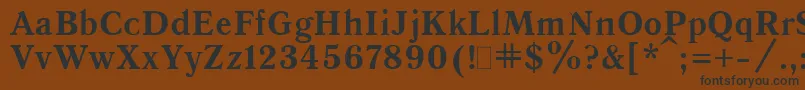 QuantAntiquaBold.001.001 Font – Black Fonts on Brown Background