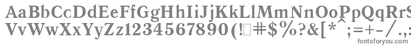 Шрифт QuantAntiquaBold.001.001 – серые шрифты