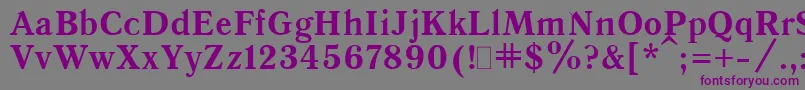 フォントQuantAntiquaBold.001.001 – 紫色のフォント、灰色の背景