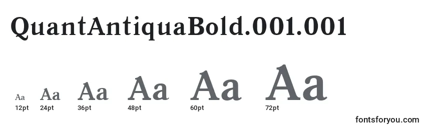 QuantAntiquaBold.001.001 Font Sizes