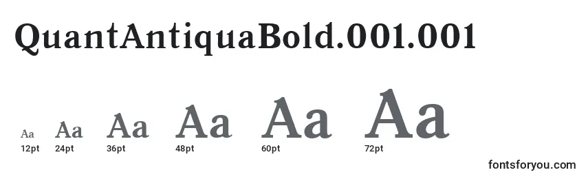 Tamaños de fuente QuantAntiquaBold.001.001