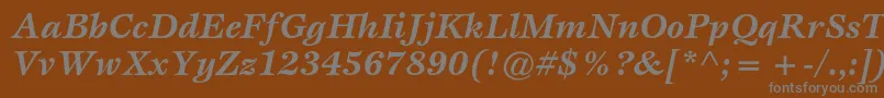EspritstdBolditalic Font – Gray Fonts on Brown Background