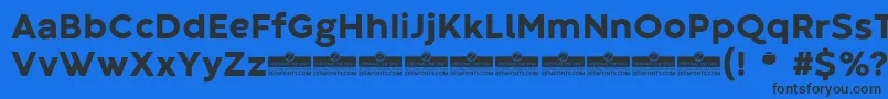 CodecWarmExtraboldTrial Font – Black Fonts on Blue Background