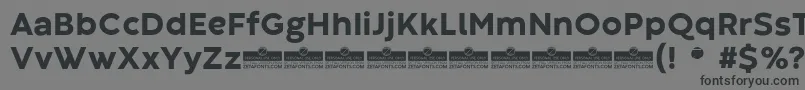 Czcionka CodecWarmExtraboldTrial – czarne czcionki na szarym tle