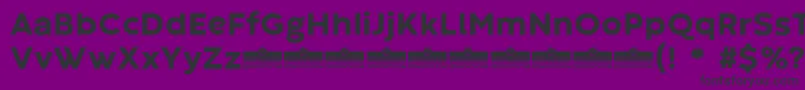 CodecWarmExtraboldTrial Font – Black Fonts on Purple Background