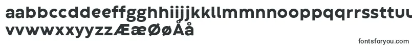 CodecWarmExtraboldTrial Font – Norwegian Fonts