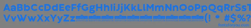 CodecWarmExtraboldTrial Font – Blue Fonts on Gray Background