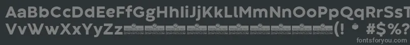 CodecWarmExtraboldTrial Font – Gray Fonts on Black Background