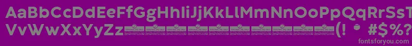 CodecWarmExtraboldTrial-fontti – harmaat kirjasimet violetilla taustalla