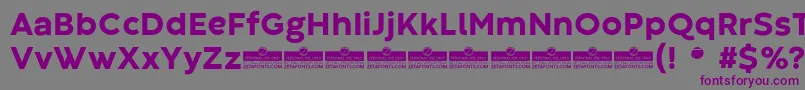 CodecWarmExtraboldTrial Font – Purple Fonts on Gray Background