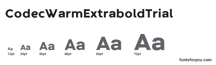 CodecWarmExtraboldTrial Font Sizes
