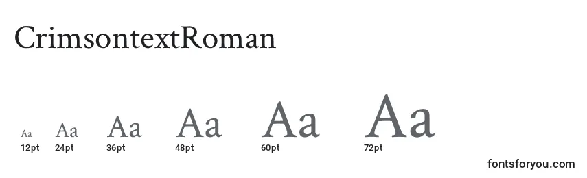 CrimsontextRoman Font Sizes