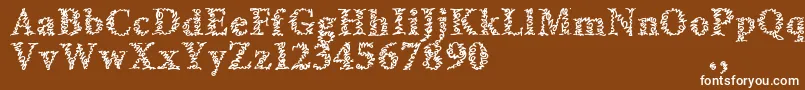 フォントAmltrial – 茶色の背景に白い文字