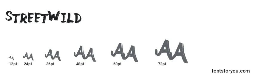 StreetWild Font Sizes
