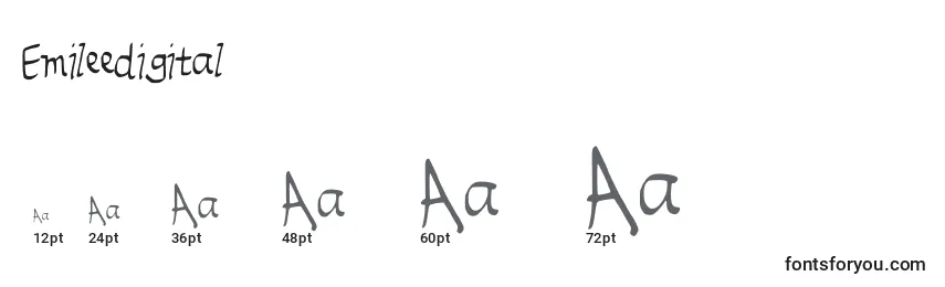 Размеры шрифта Emileedigital