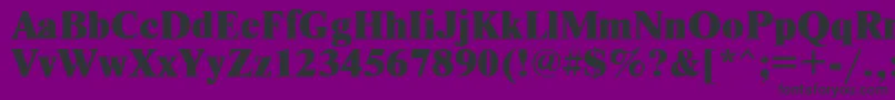 Nwx95C Font – Black Fonts on Purple Background