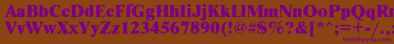 Nwx95C Font – Purple Fonts on Brown Background