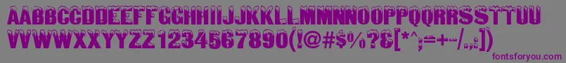SnowtopCaps-fontti – violetit fontit harmaalla taustalla
